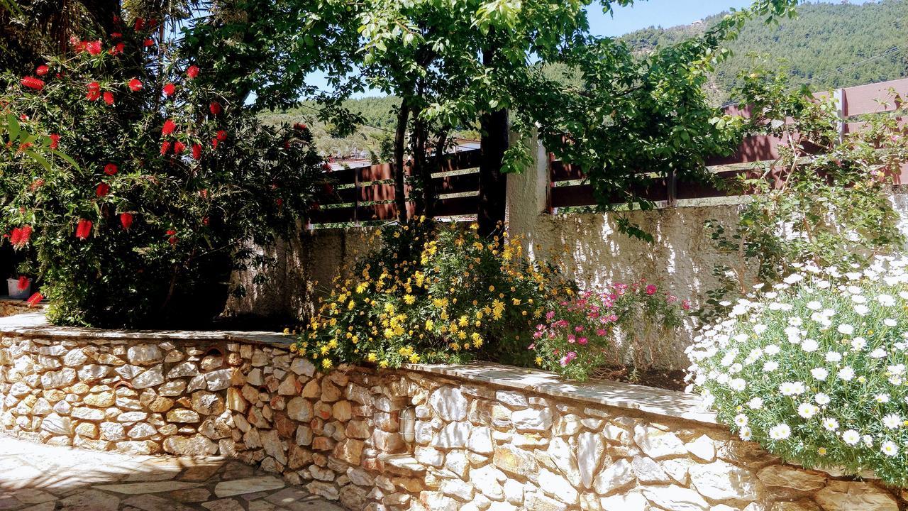 Maria Studios Skiathos ภายนอก รูปภาพ