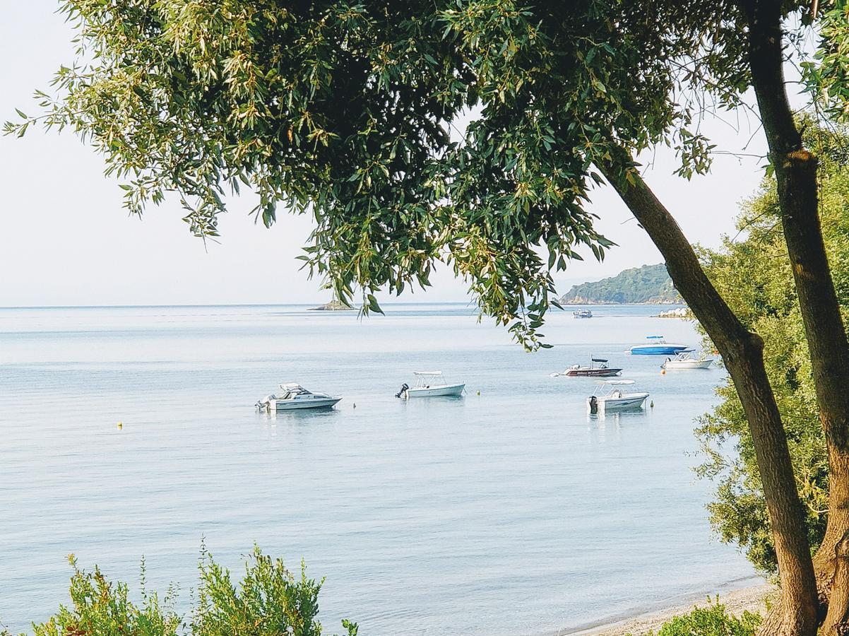 Maria Studios Skiathos ภายนอก รูปภาพ